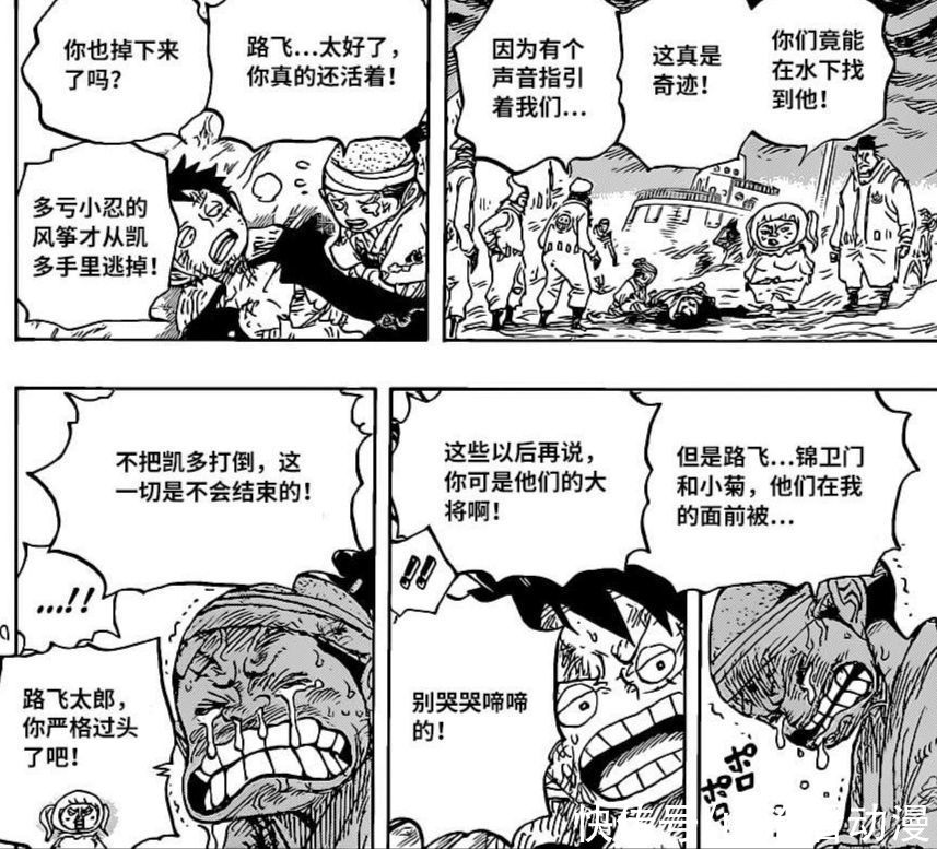 桃之助|海贼王1021话情报：桃之助提出惊人要求，要变成大人，小忍懵逼了