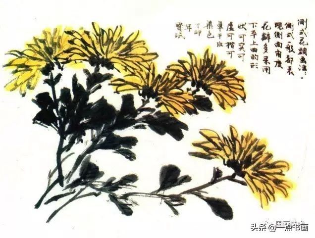 写意菊花@写意菊花的各种画法示范