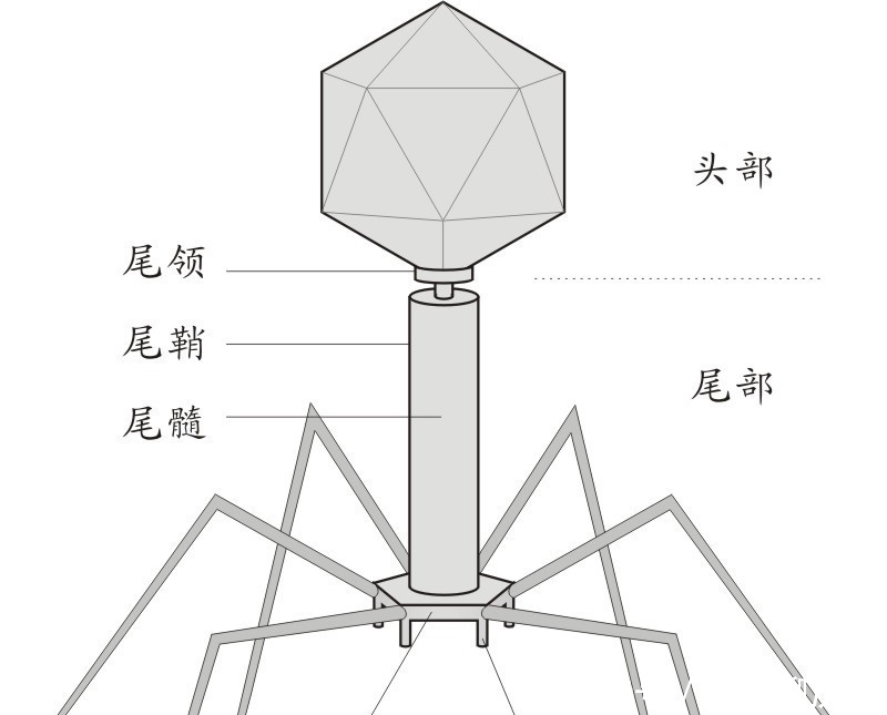 韩乐坊学习网