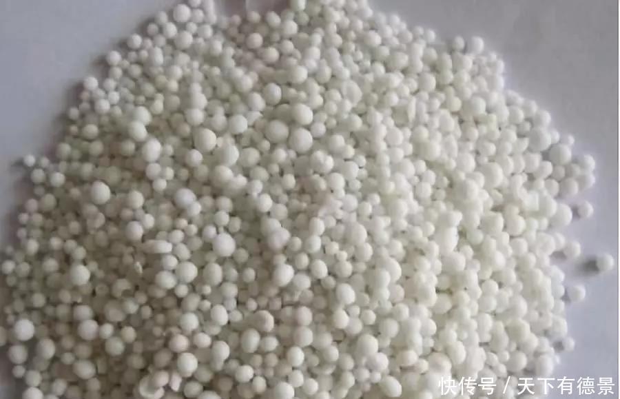 多肉植物施什么肥料,多肉6种常用肥料