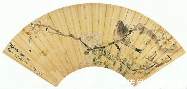 沙馥#清末名家：沙馥扇面花鸟欣赏