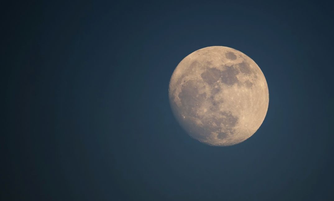 等我们老了,找个院子,清晨养花,傍晚喝茶。