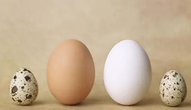 陷阱|减肥很嘴馋？有些零食健康又解馋，有些让你掉进脂肪陷阱