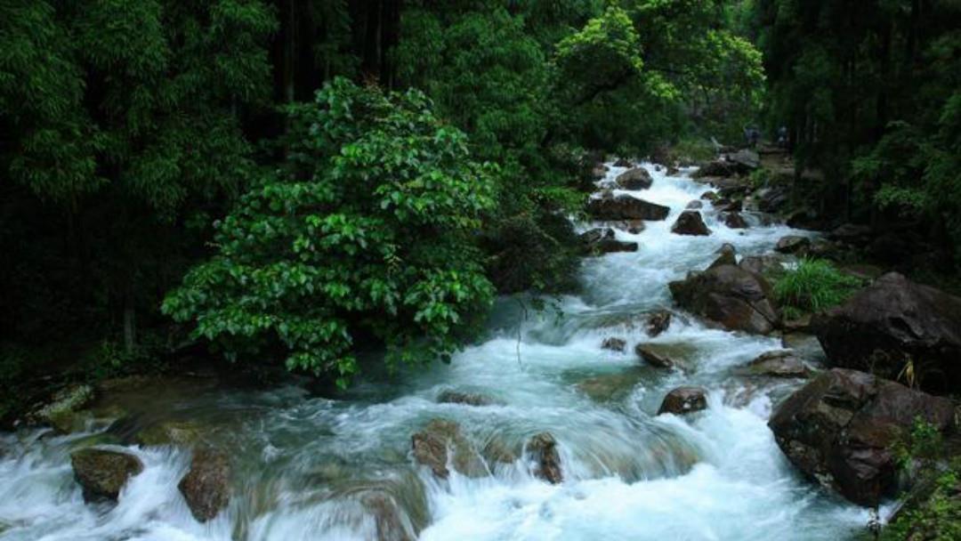 王安石这首诗写得很美,也是达到了诗中有画,画中有诗的境界
