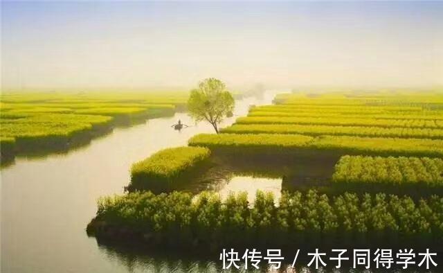 花露水|41个生活常识,读后受用