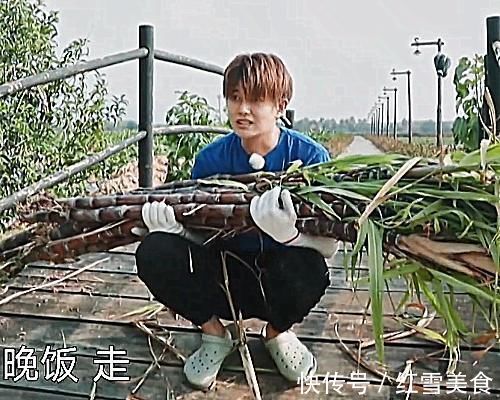 心灵鸡汤|任嘉伦扛不动甘蔗时，谁注意他说了句啥不愧是出过国超文集的人