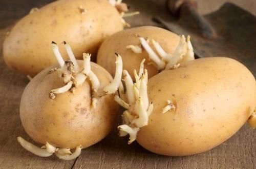 身体|多吃蔬菜虽然对身体有好处，但是这几种蔬菜尽量注意