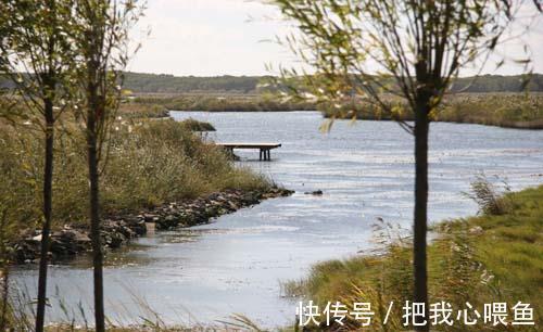 景区|外地游客来黑龙江游玩，看到“兴凯湖”美景，直呼：旅游净土