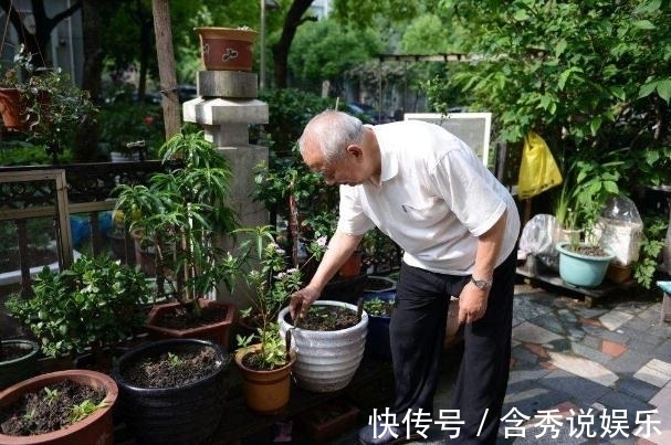 水仙花|这五种“毒花”，冬季最好不要养，1滴“汁液”就可能影响健康