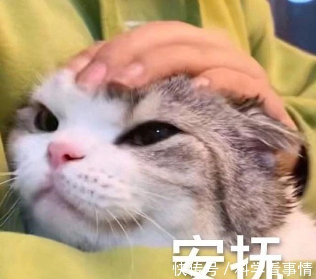 盘点 国货护肤品哪款好国货护肤品崛起!盘点5款性价超高的国货品牌!