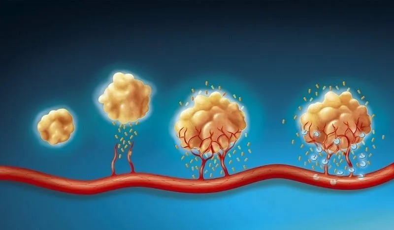 硬干货!美国2021抗癌报告