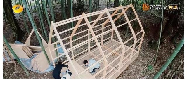 向往的生活|《向往的生活5》錄制地點(diǎn)現(xiàn)狀，圖書館無人管理，蘑菇屋一片狼藉