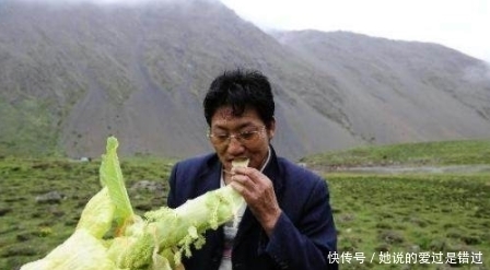 购买|男子家养的白菜竟然长到2米高,有人高价购买,男子拒绝