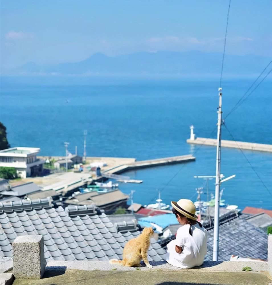 孩子|日本爸爸偷拍儿女4年，靠晒娃走红ins，原来宫崎骏动画是真的