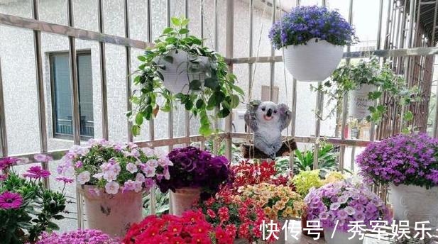 排水性|养花旧土该如何重复利用掌握这些,不用多费劲就能变成新土