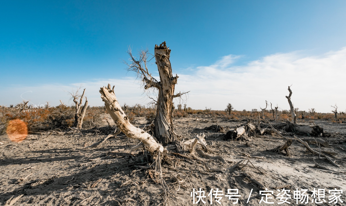 沙漠|神秘的塔克拉玛干沙漠，藏有“生命禁区”，却吸引无数探险者