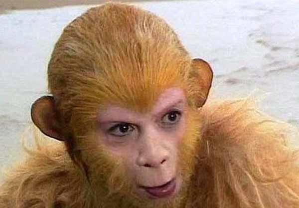 黑熊怪|西游记里,没有背景的妖怪都被打死了吗?有没有例外?