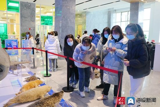 青鸟|东港区2022年“情暖归途 爱才东港”学子归巢活动成功举办