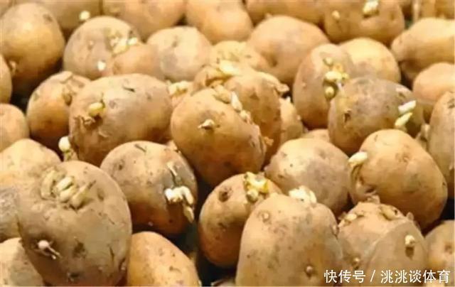 營養(yǎng)物質(zhì)|8種不宜常吃的蔬菜,南瓜排最后,排首位的不少人或許天天吃