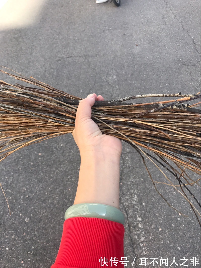 花盆里垫点小东西，大大增加透气性，养花不烂根！