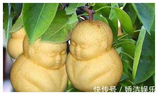 维生素e|想长寿先排毒，常食这三种食物，美容养颜，增强人体免疫力