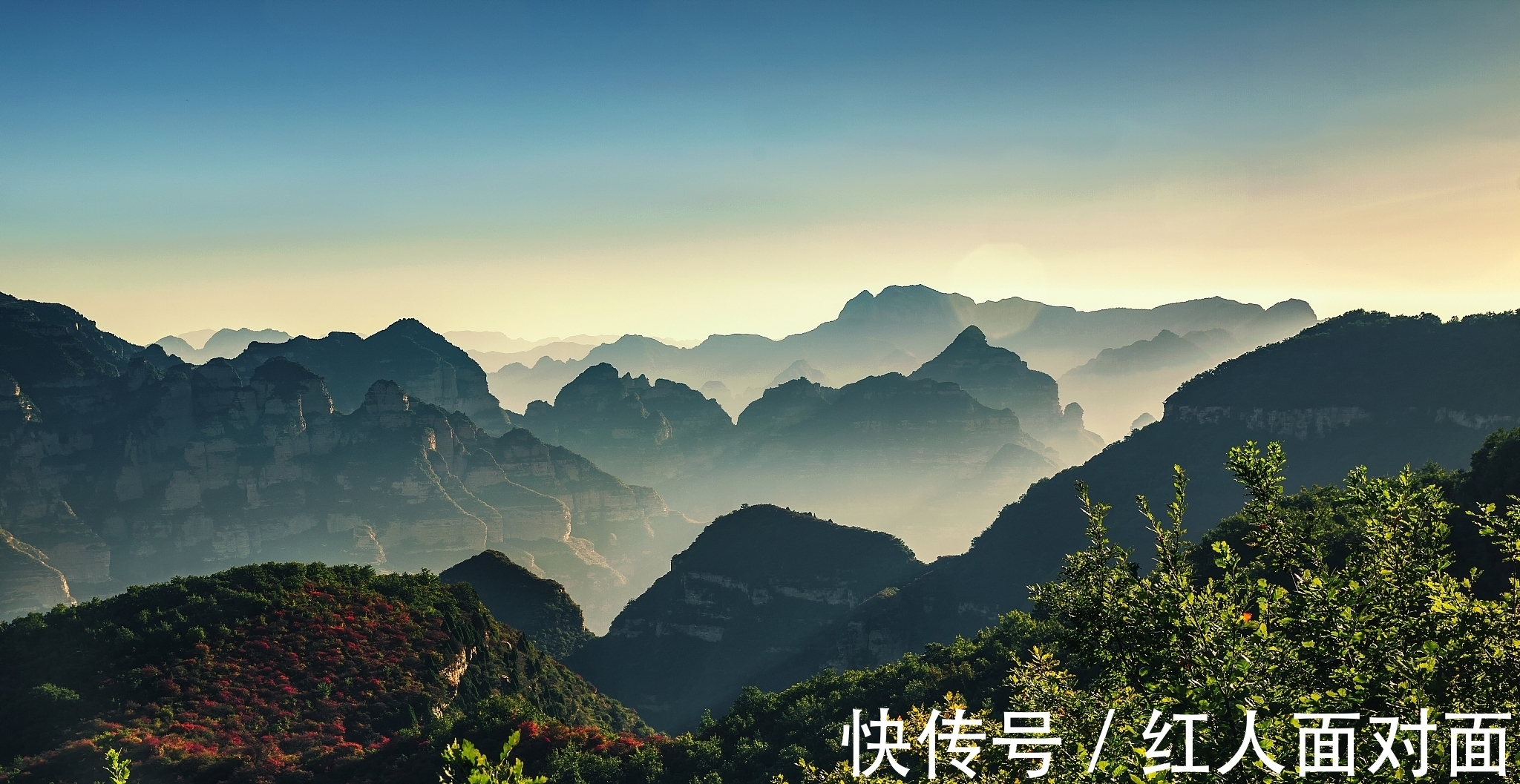 松桂!来自杜牧的一首五言诗,全篇情景交融,细细读来别有韵味