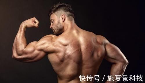 超级组|肩部真的难练吗6大动作超级组合，让你练出真正雄壮虎头三角肌