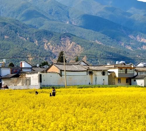 古城下的花海—美如画卷