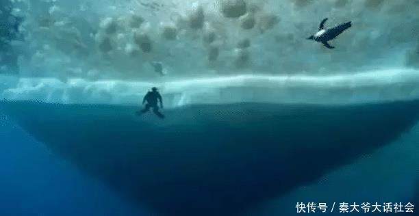 深海恐惧症 测试图 逆向图压抑着脑神经 不敢喘气 快资讯