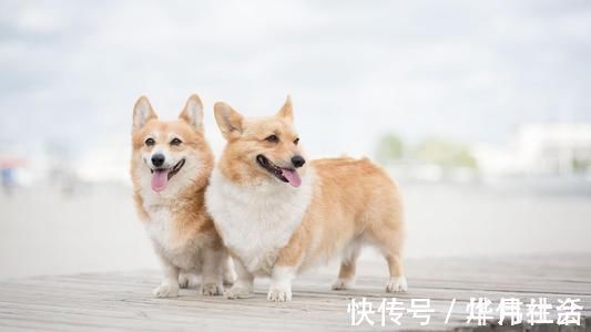 华为|10条鲜为人知的冷知识,不一定都有用,但可以增添不少l乐趣
