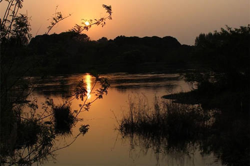老张|钓鱼人的一天,从头天晚上失眠就已经开始了,你是不是也这样?
