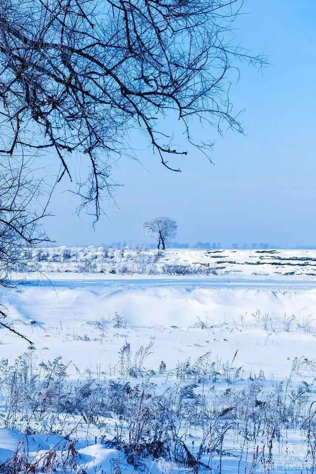 童话|冰天雪地，童话吉林