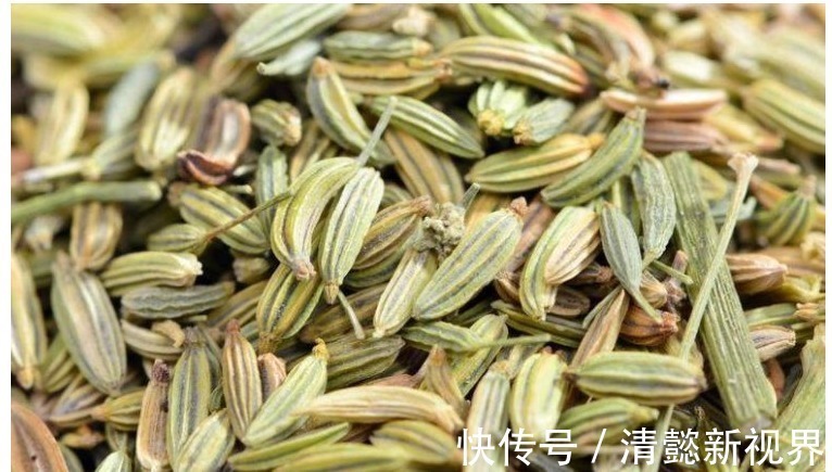 谷茴香|经常每天吃一把此物，能和胃理气，疏肝补肾，大肚子没了