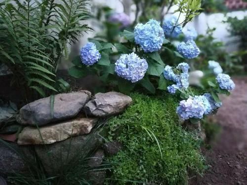 改造|他花3年打造中式庭院,不花钱,全靠捡,完工后让人惊艳