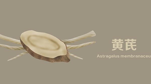 黄芪泡水|用黄芪泡水喝,身体能得到哪些好处?一次放多少为宜?有何禁忌?