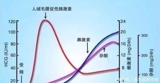 怀孕|胎停并非“毫无征兆”，孕妇出现这5个表现，可能是胎儿不发育了