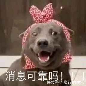 |搞笑表情包|来嘛~