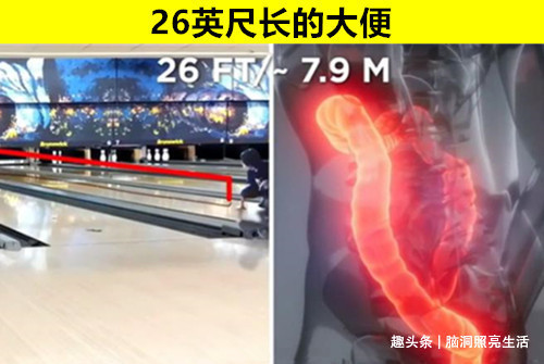 听起来像小说,但却是真实存在世界上的8个有趣冷知识