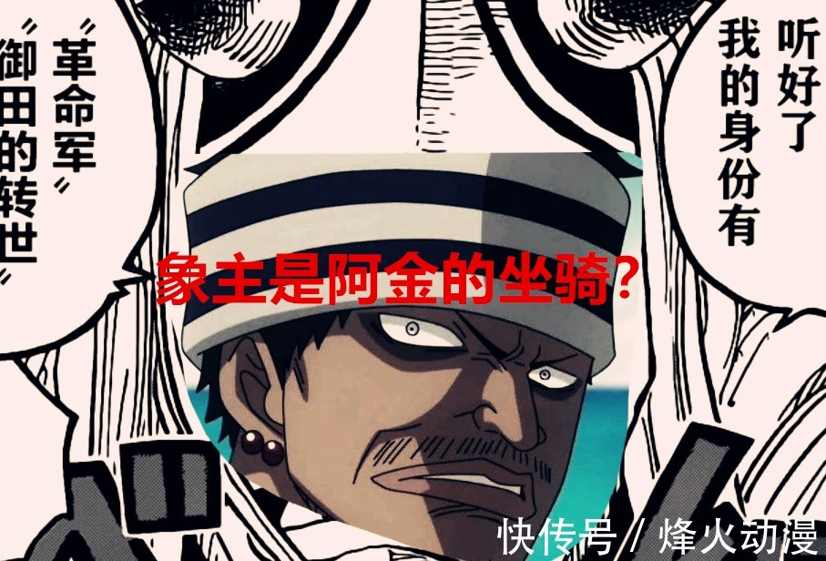 黑胡子|海贼王1037话:阿金骑着象主来了?杰克懵圈了,黑胡子又捡漏了