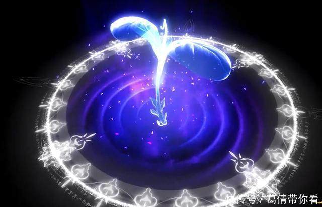 斗罗大陆:我的武魂是“武灵邪龙”,快来测试一下你的专属武魂?