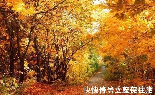 海棠依旧#宋人笔下的风如何?这2首宋词告诉你,忍不住不看的美!