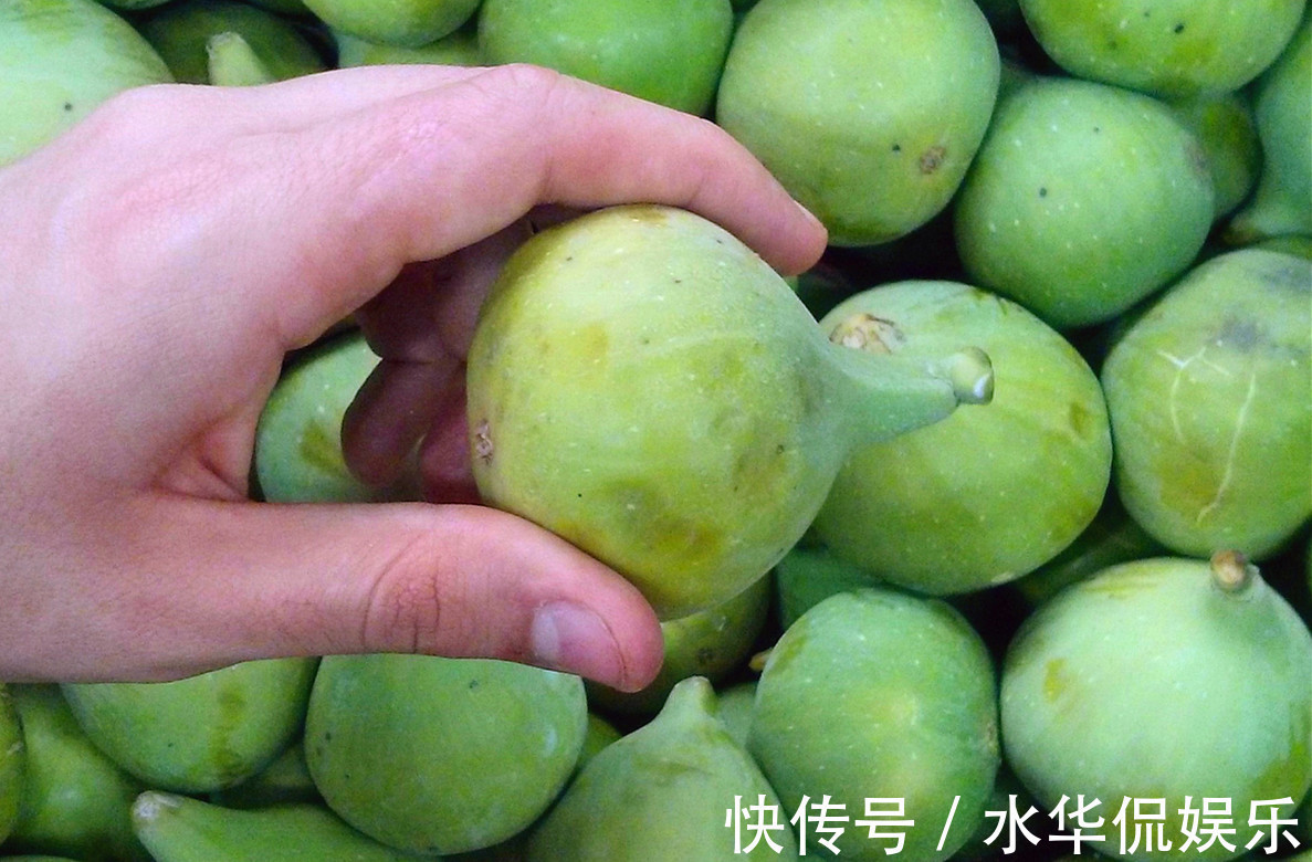 畸形果|挑选无花果时，要牢记“4挑3不挑”，很多人不懂，难怪又酸又涩