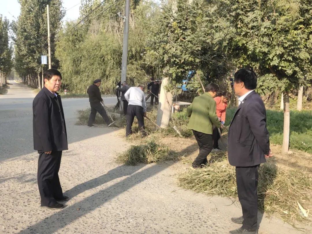 台子|台子镇：周末不休，全民动手提升城乡颜值