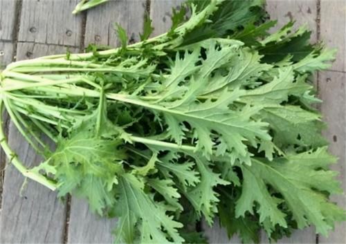 女性再?zèng)]錢，3種食物都要吃，能使皮膚紅潤(rùn)嫩白，去皺消斑