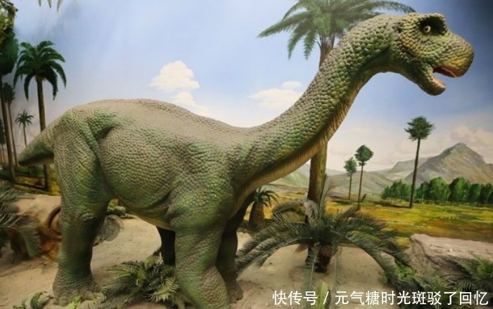 进化 两亿年的恐龙没有灵智,百万年的生物成为了文明!