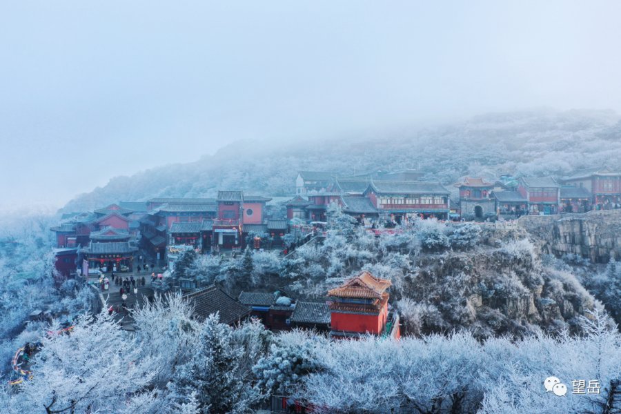 泰山|壹图集丨泰山之上，雕栏玉砌！大片雾凇蔓延岱顶宛如童话世界