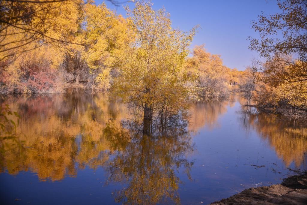 发射 中国航天的摇篮城市,国内的第一颗人造地球卫星就在这里发射