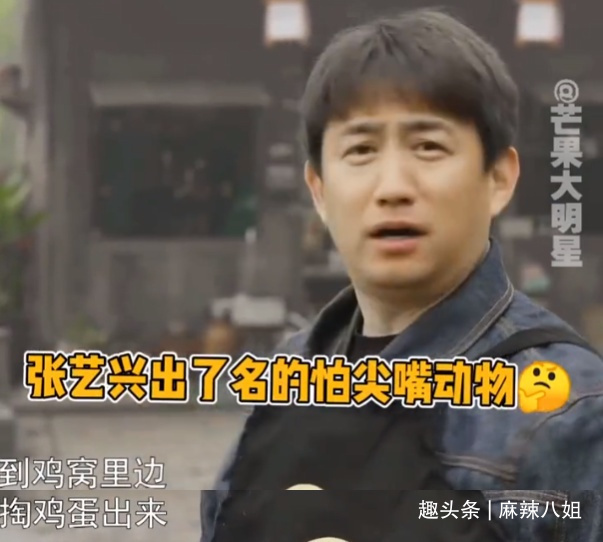 张子枫|三年前戏言成真,看样子“送礼事件”对何炅影响很大