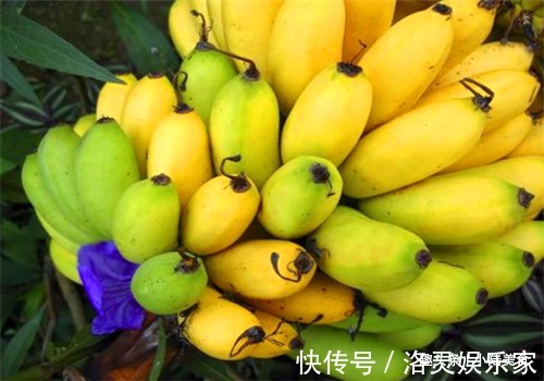 蔓越莓|聪明的女性都在吃4种食物,排毒护肤,刮油消脂,清理体内毒素