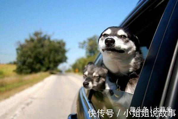 |全网超级经典搞笑晚安朋友圈句子!建议收藏!